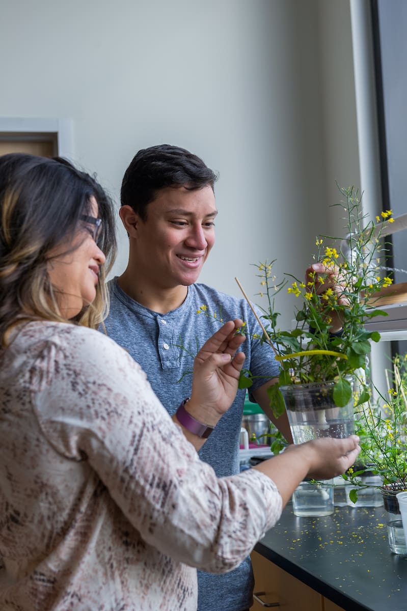 Enviromental Science Demonstration