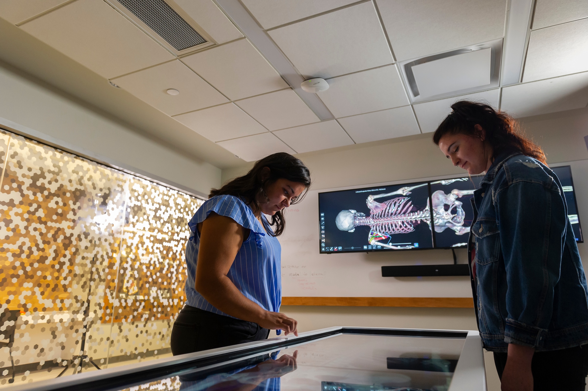 USF’s Sciences division has an Anatomage Table used to enhance anatomy and physiology courses, advanced physiology and pathophysiology, and comparative anatomy.