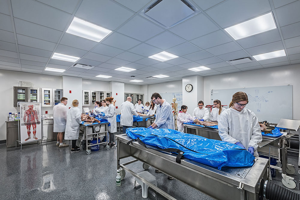 Students have the opportunity to take classes that make use of the Cadaver Lab.