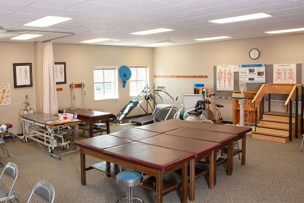 The Physical Therapist Assistant Lab has everything a student needs to learn about physical therapy