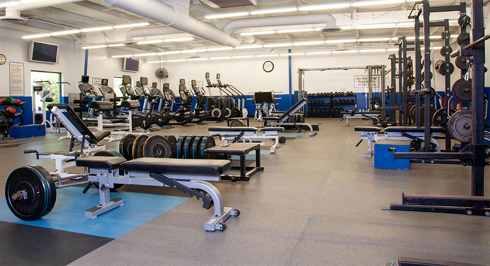 The fitness center has a variety of equipment to work with including squat racks, free weights, stationary bikes, treadmills, and weight machines.
