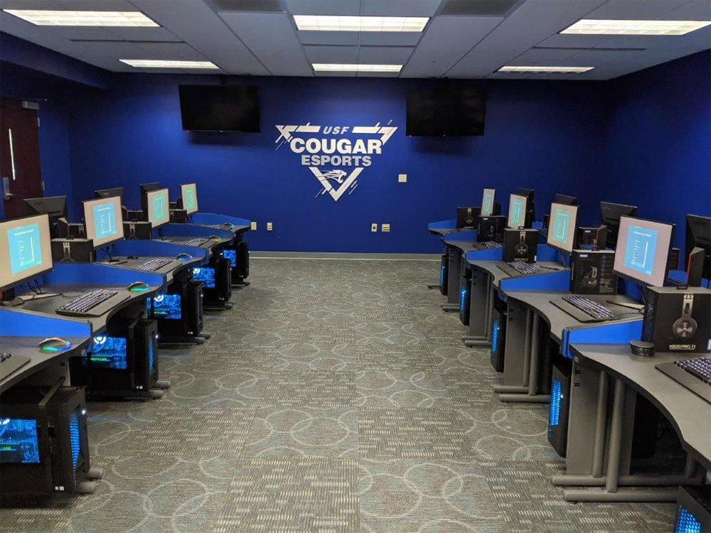 The University of Saint Francis has an eSports team that competes in Fortnite, League of Legends, Overwatch, Rocket League, and Super Smash Bros. Ultimate